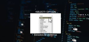 select option estados brasileiros