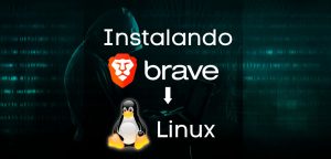 como instalar o navegador brase