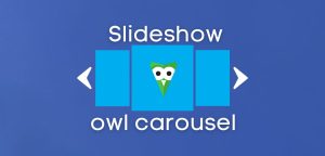 slide com owl carousel